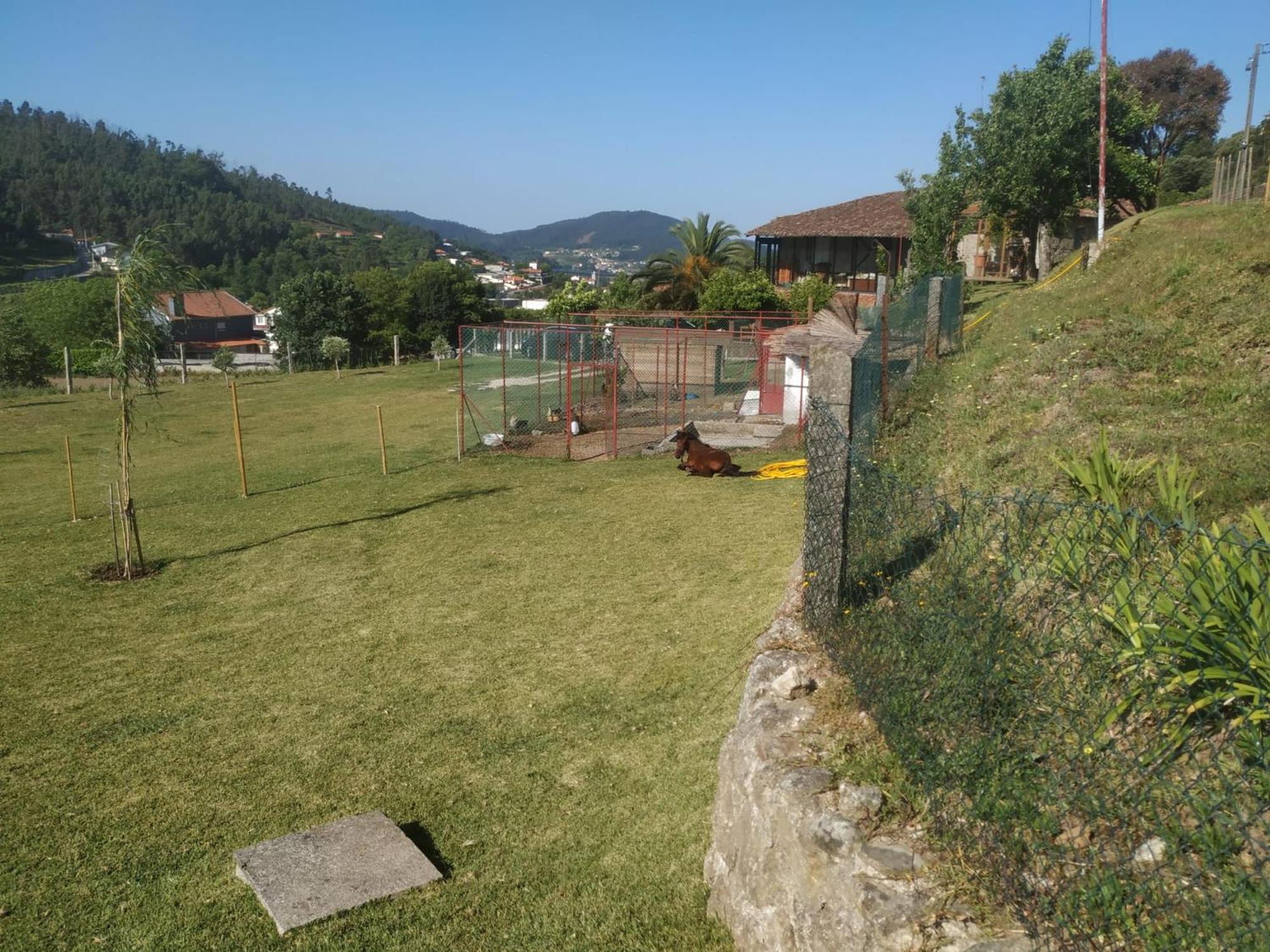 Quinta Dos Campos - Chale Chalet