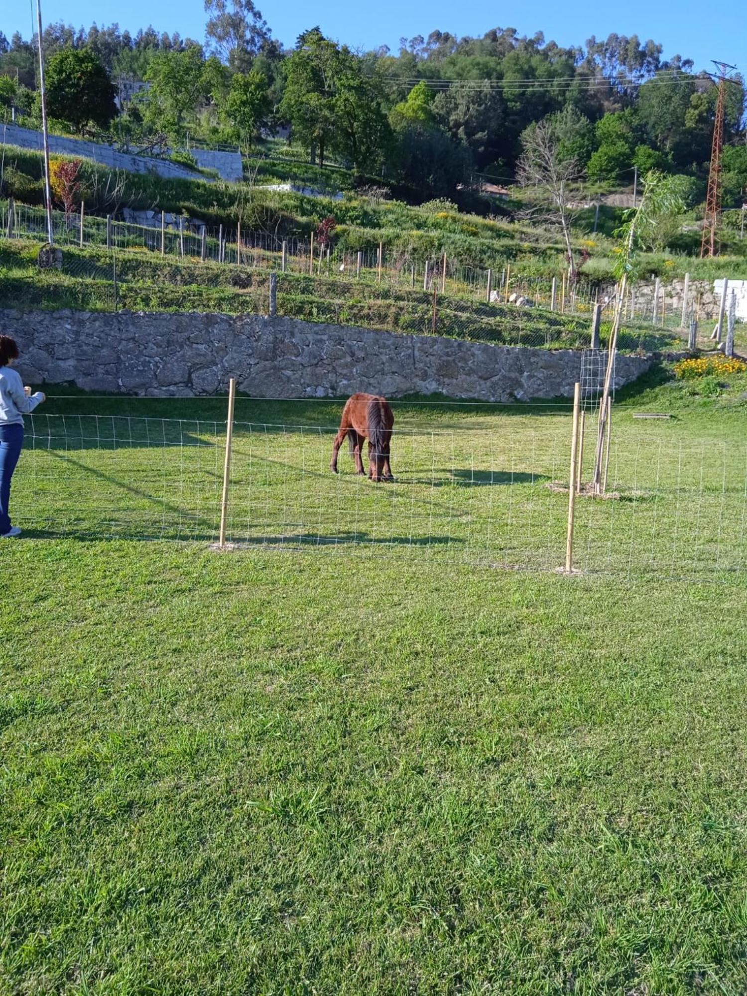 Chalé Quinta Dos Campos - Chale